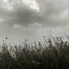 1xijr8