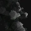 hanna.rose854
