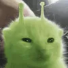 ppandnhf0pb