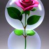 user5671683181836