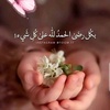 mohammad.abo.hsan1