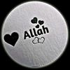 user270331491569