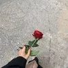sarahsdj7