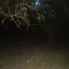 sy_ka69