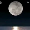 13788054urrdnnxdepxdep21