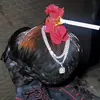 seupeidanteemeu00