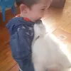 i.love.cats7646