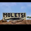 molweiki