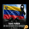 bbandrea19