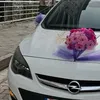 cihann0006