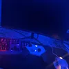 no_name_wvv