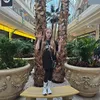 qweenlaceyno.1