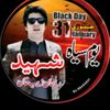 naeem.shirani