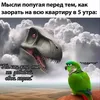 tumbochka77777