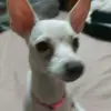 pau.lopgarxia4