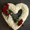 user082856842