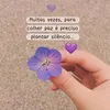 mariafatima8759