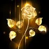 soul_andahalf