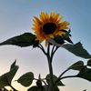 .ruth_75