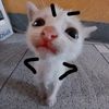 chizitoh_pikante7