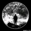 wilmer.abal