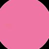 its_camii.4