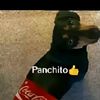 franv635