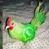 miguelbroxfruit