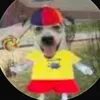 nomeimportayovapo13