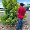.tx_jose