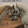 algrba_0