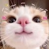 but_terfly419