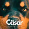 .csar_vom_hause_knabe