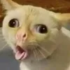 sacu130