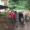 nghiaidol8