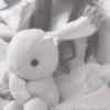 sj._.daisy