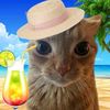 hanyy_chann