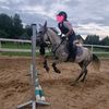 meja_eq0709