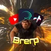 brepbrub2