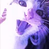 yann_amika