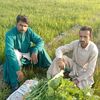 wazir.ali.sahibani