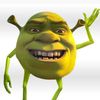 im_shrek25