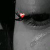amelbn320