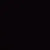 trn.l.dng.t