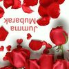 hamzaismail486