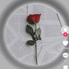 abdullah.awan4838