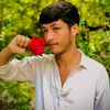 ur.favt_sheno