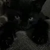 nn_jk6