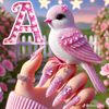 muneeb.abbasi333