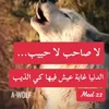 user6085723608360